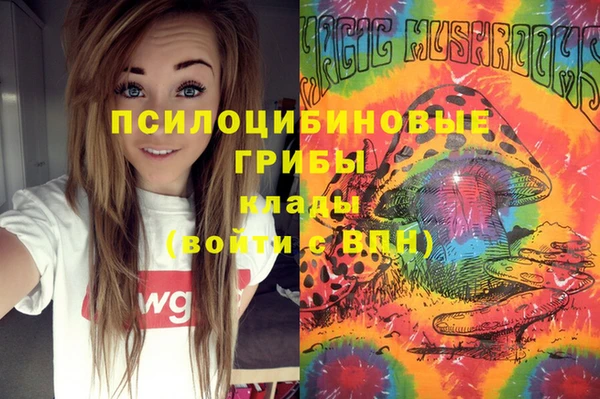 синтетический гашиш Алексеевка