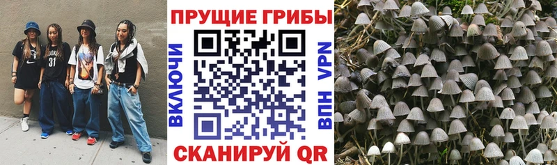 Галлюциногенные грибы ЛСД  Ставрополь 