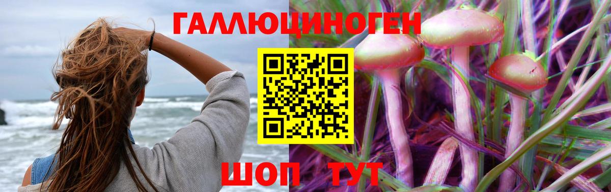 Ставрополь  Псилоцибиновые грибы мицелий  Вход с VPN 